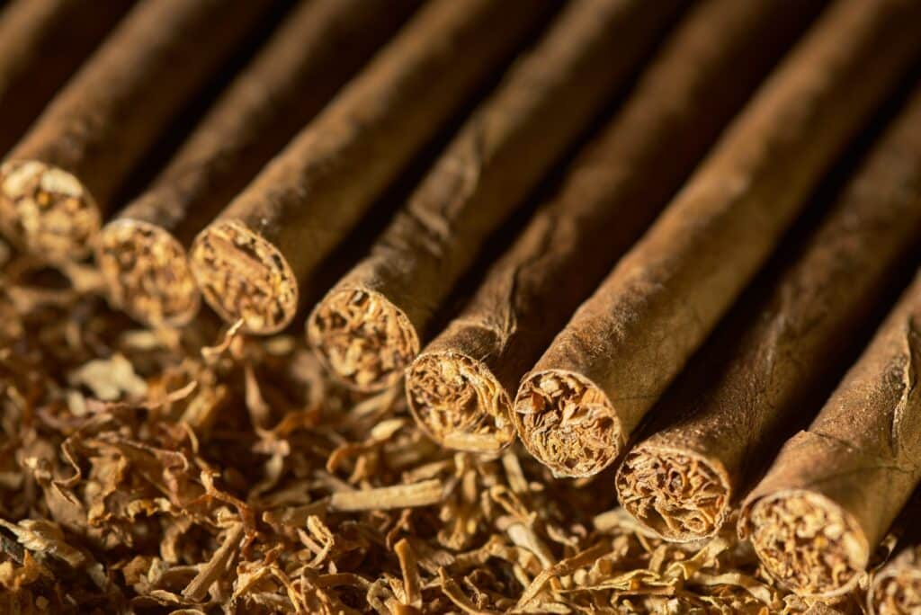 Étude. Les cigarillos mentholés sapent les efforts pour freiner le tabagisme