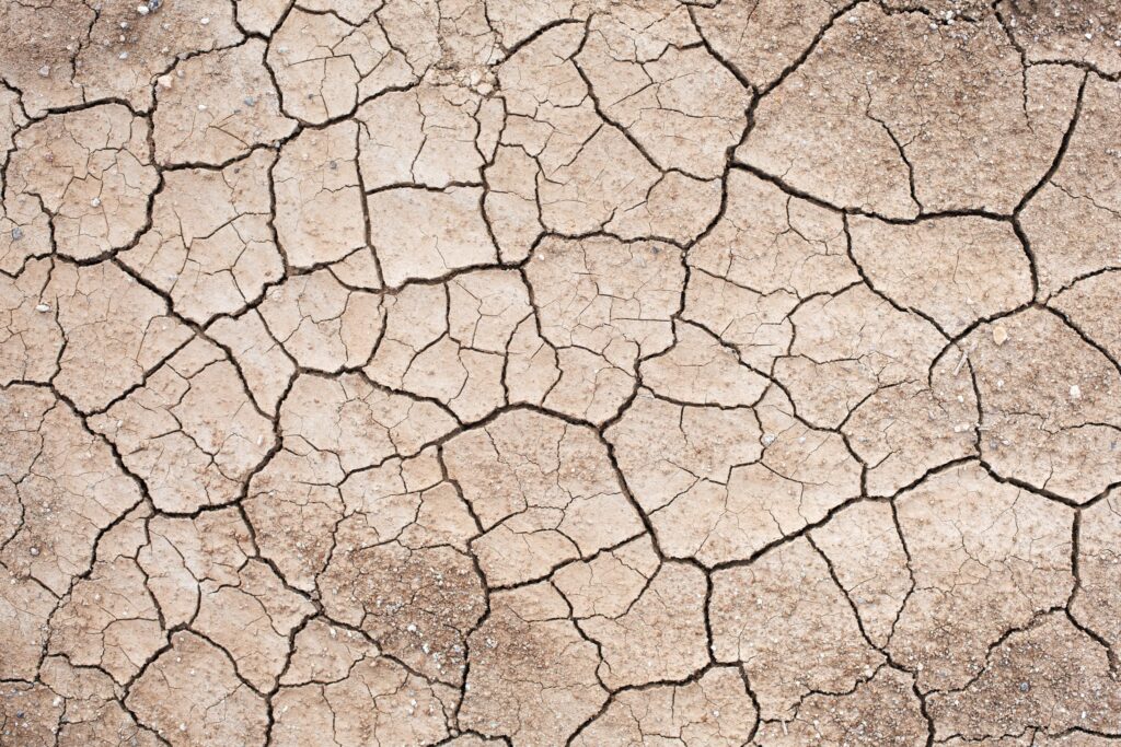 3,7 litres d’eau pour une seule cigarette : éclairage sur un gaspillage majeur méconnu