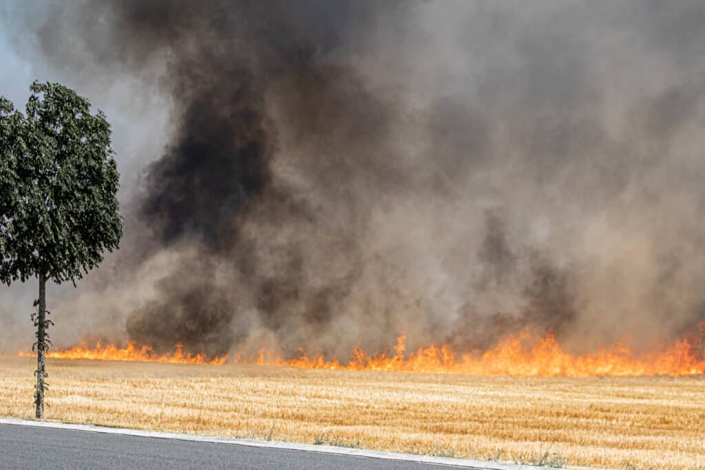Un député propose de taxer les cigarettes pour financer la lutte contre les incendies liés aux mégots